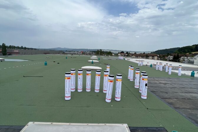 WhatsApp Image 2026-01-21 at 09.23.43 (1)