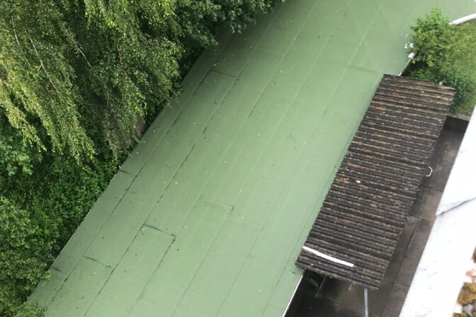 WhatsApp Image 2026-01-21 at 09.23.43 (4)